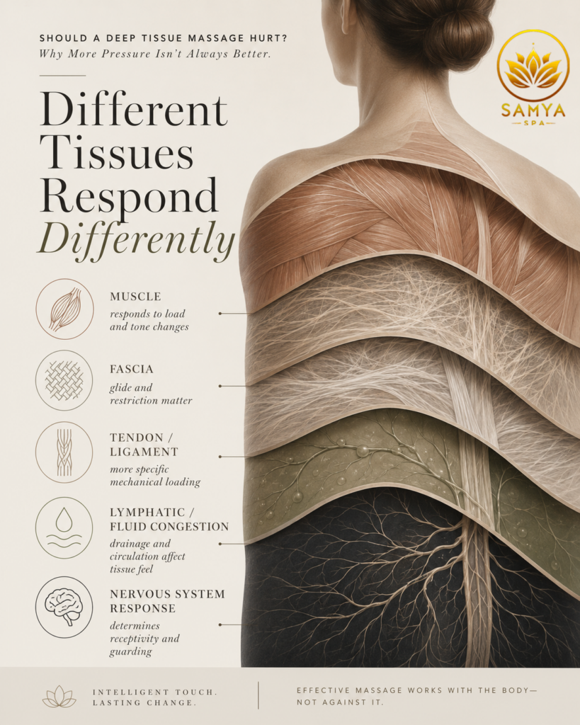 Different tissue types respond differently during deep tissue massage